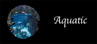 Aquatic